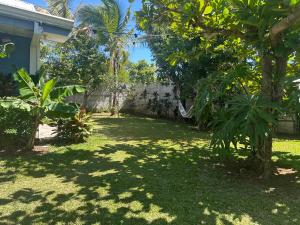a yard with green grass and trees and a fence at CASA STELLA in Heredia +13 photos