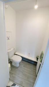 a bathroom with a white toilet in a room at Nancy centre bienvenue, chambre chez l'habitant in Nancy