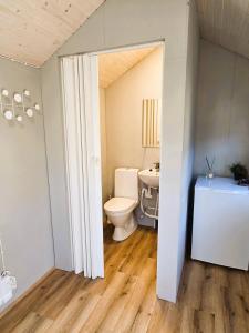 a bathroom with a toilet and a sink at Northern Lights Cabin - Syribr in Grímsnes og Grafningshreppur +44 photos