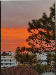 a sunset over the roofs of buildings and a tree at The Salty Nap in Ericeira