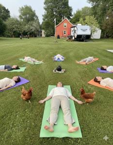 a group of people doing yoga in the grass at Gite de la Baie Hatée in Bic