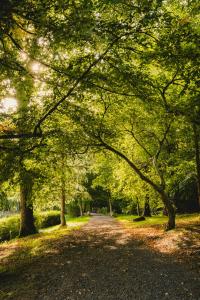 a tree lined path in a park with trees at Crafted at Powdermills in Battle