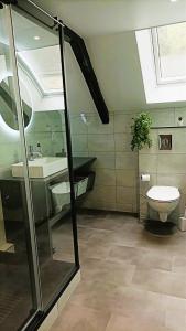 a bathroom with a toilet and a sink and a window at L'Échappée en Sandales in La Gacilly