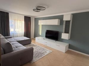 a living room with a couch and a flat screen tv at Borșa ApartHotel 5 in Borşa