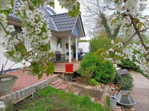Gallery image of Elbmündung Otterndorf Ferienhaus Medemkate in Neuenkirchen