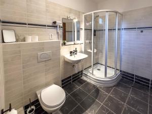 a bathroom with a toilet and a shower and a sink at Hotel Central in Ostrava +42 photos