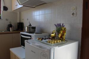 a kitchen with a refrigerator and a stove with a tray of food at Vakis Apartments 1 in Romanón +19 photos