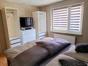a bedroom with a bed and a tv and a window at Fewo Holtwicker Ei in Rosendahl