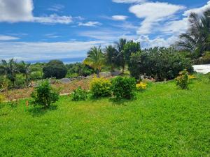 a field of green grass with trees and bushes at Evasion Maragon in Saint Gabriel