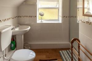 a bathroom with a toilet and a sink and a window at Cwm Ffernol in Machynlleth