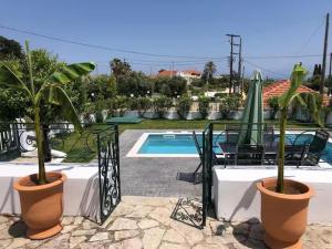 two plants in pots next to a swimming pool at Lilac House Kefalonia in Ratzaklíon