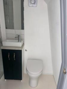 a bathroom with a white toilet and a sink at The Orkney Pod in Stromness