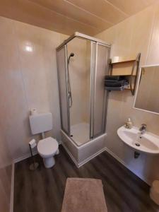 a bathroom with a shower and a toilet and a sink at Pension Bei Valentina in Wertheim +4 photos