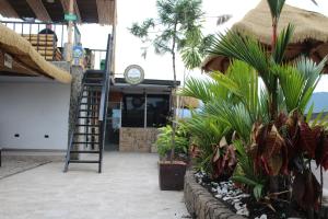 a ladder in front of a building with plants at Hotel Grand ilama in Cali
