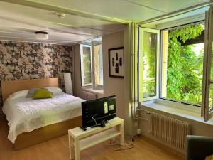 a bedroom with a bed and a tv in it at studio Bevaix in Bevaix