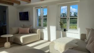 a living room with a couch and a chair and windows at Seedorf Hideaway, Reethaus mit Garten und Privatsteg, Kamin, Sauna und Hot Tub in Ostseebad Sellin