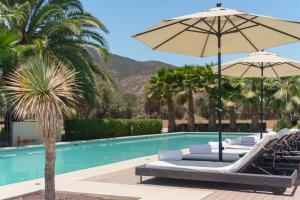 a group of lounge chairs with an umbrella next to a swimming pool at El Cielo Resort in Valle de Guadalupe +59 photos