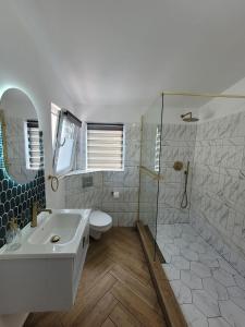 a bathroom with a toilet and a sink and a shower at Vila Didi, Mangalia in Mangalia +62 photos