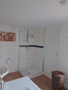 a shower with a glass door in a bathroom at Heimathafen Hamelwörden in Wischhafen +5 photos