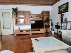 a living room with a tv and a couch at Apartman Silvia in Breitenau
