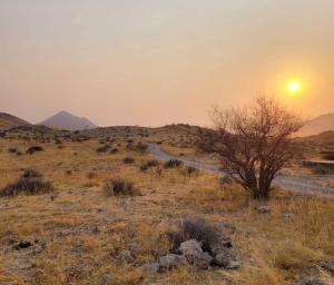 a tree in the middle of a field with the sunset at Achab chalets in Usakos +21 photos
