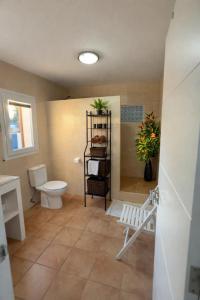 a bathroom with a toilet and a shelf with plants at Casa Baleares TS SL in Cala Santanyi