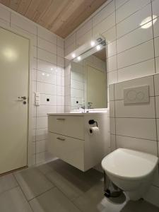 a bathroom with a toilet and a sink and a mirror at Leilighet i Myrkdalen in Vossevangen +21 photos
