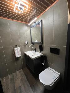 a bathroom with a toilet and a sink and a mirror at AYDER VANAK SUİTEs in Ayder Yaylasi +26 photos