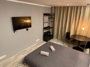 a bedroom with a bed and a flat screen tv at Central place with lake view in Šiauliai +20 photos