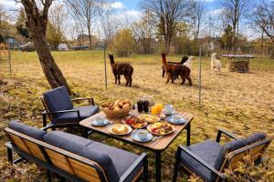a table with food and some llamas in a field at Ferienhaus im Grünen - Entspannen mit Alpakas in Treuen