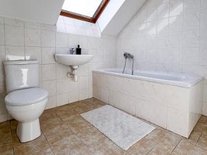 a bathroom with a toilet and a sink at Apartmány Žalák in Ostrava