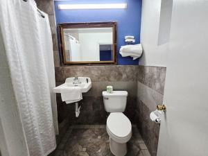 a bathroom with a toilet and a sink and a mirror at Chek Inn Motel Rockingham NC in Rockingham