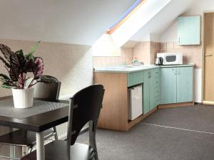 a small kitchen with a table and a sink at Apartmány Žalák in Ostrava +24 photos