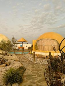 a group of domes with people sitting in them at Jabal shams domes in Sa‘ab Banī Khamīs
