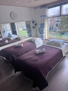 two beds in a bedroom with a large window at Guesthouse Czaar Peter in Zaandam