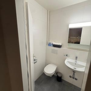 a small bathroom with a toilet and a sink at Flor- Sakura Gare Lausanne in Lausanne