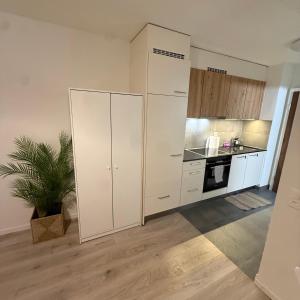 an empty kitchen with white cabinets and a potted plant at Flor- Sakura Gare Lausanne in Lausanne