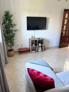 a living room with a couch and a flat screen tv at Casa da Charrua in São Teotónio