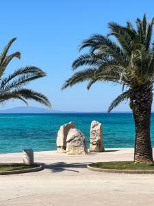 Eine Palme und Felsen am Strand in der Unterkunft Gold Apartment On The Beach in Novalja