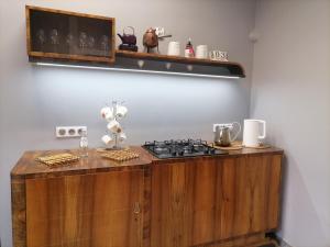 a kitchen with a stove and a counter top at Center Apartment in Przemyśl