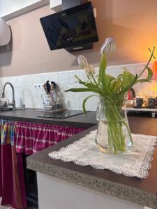 a vase with white flowers sitting on a kitchen counter at Henko-Alloza in Alloza