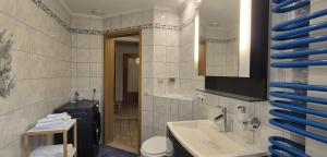 a bathroom with a sink and a toilet at Ferienwohnung am Töpferberg in Löbau