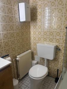 a small bathroom with a toilet and a sink at Haus Annemiek in Winterberg +60 photos