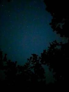 a group of people standing under a night sky at Arijaana Guest Studio in Gunjur