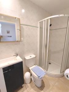 a bathroom with a shower and a toilet and a sink at Le Mas des 3 Anes in Blars