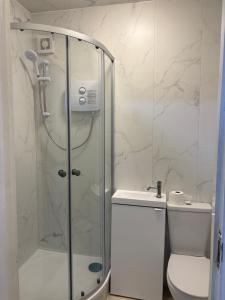 a bathroom with a shower and a toilet at Mulgrave Lodge in Dun Laoghaire +54 photos