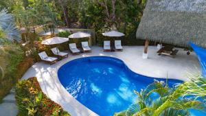an overhead view of a swimming pool with chairs and umbrellas at Serena Nosara Beach Retreat in Nosara