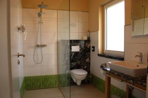 a bathroom with a shower and a toilet and a sink at Weserberglandalm Haus 3 in Ottenstein