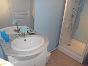 a bathroom with a sink and a shower at Gîte La Lieutenance in Saint-Pourçain-sur-Sioule +30 photos