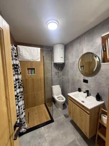 a bathroom with a shower and a toilet and a sink at Apartments S&S in Žabljak +32 photos